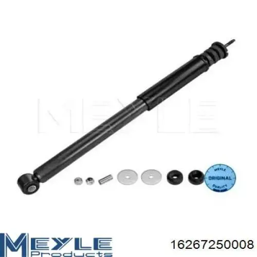 Amortiguador trasero 8660004130 Renault (RVI)