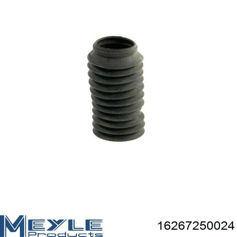 Amortiguador trasero Nissan Qashqai 2 J11