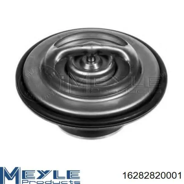 Termostato 7421412639 Renault (RVI)