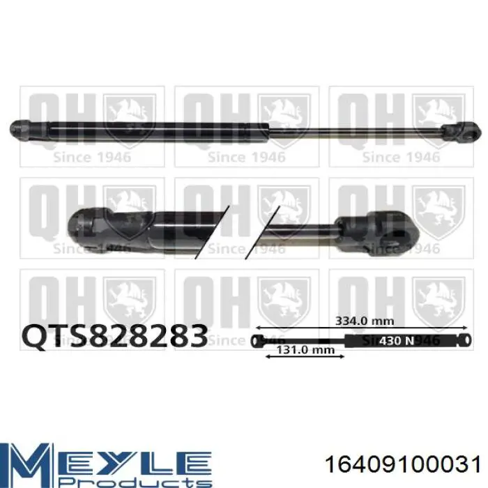 Comprar 844300004R Renault (RVI) Amortiguador de puerta trasera