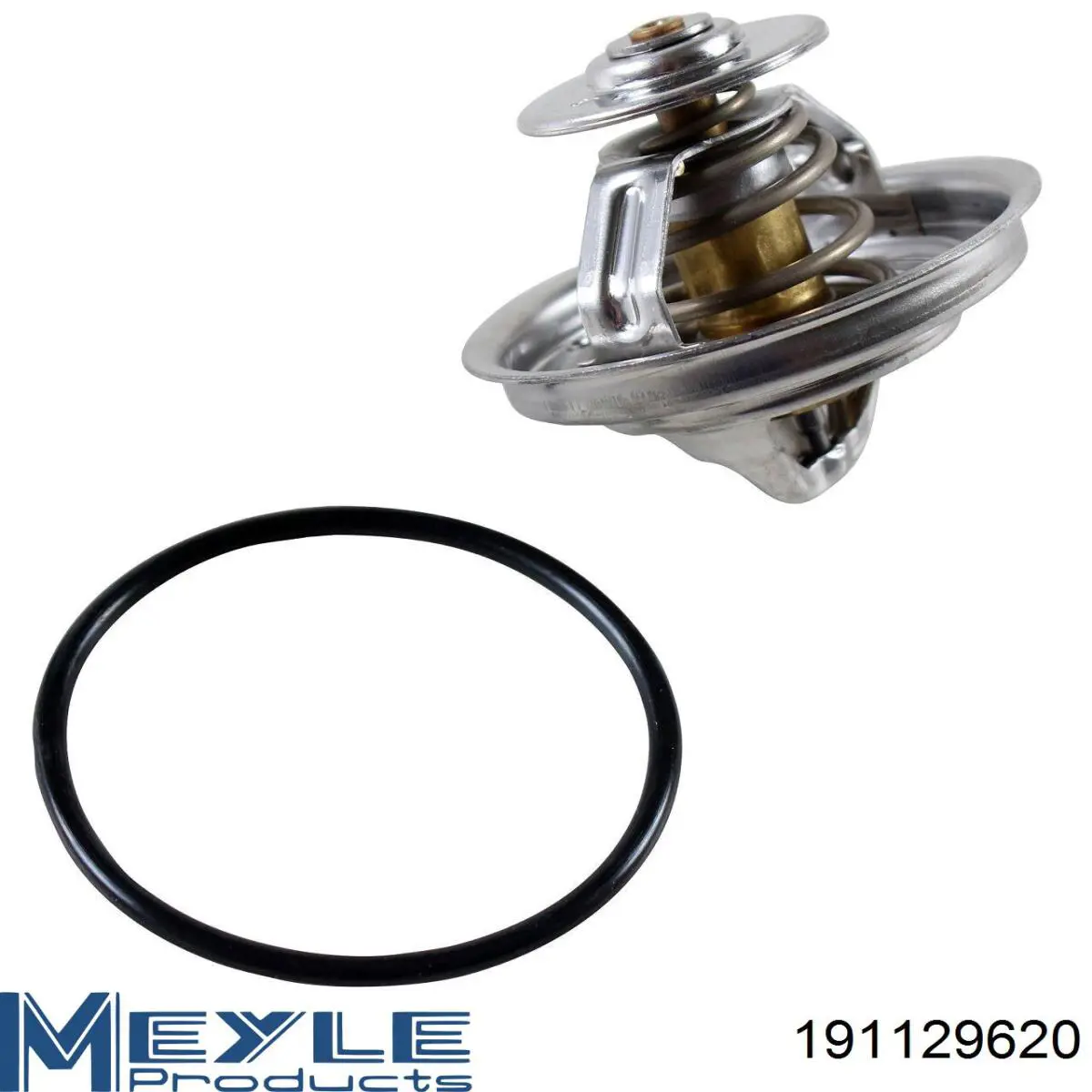 Volkswagen Passat 3A5, 351, 315