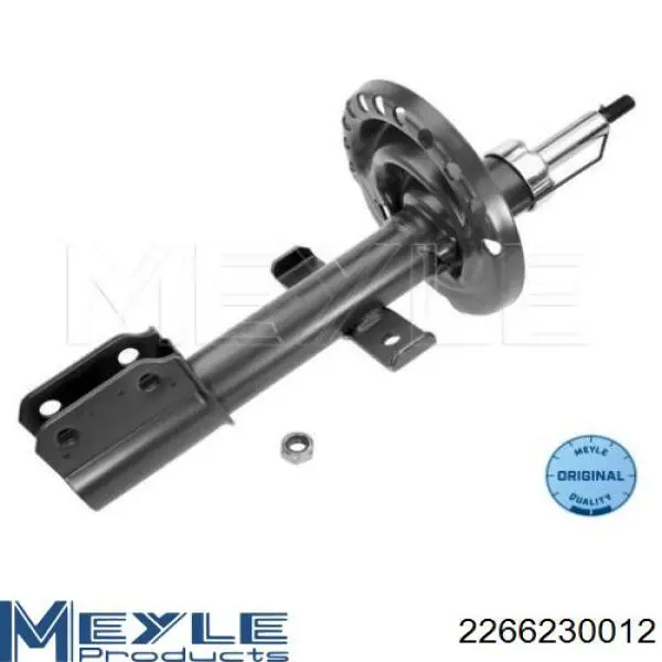 Comprar 51708824 Fiat/Alfa/Lancia Amortiguador