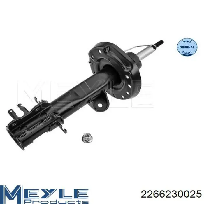 Amortiguador delantero izquierdo Fiat/Alfa/Lancia 51956058 precio, desde 65,18 EUR