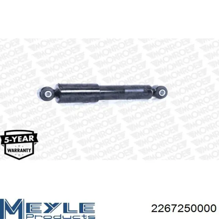 1759H Magneti Marelli Amortiguadores posteriores