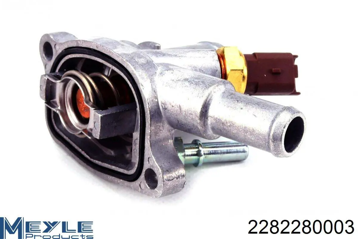 Termostato refrigerante Denso DTM88673
