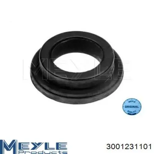 Soporte del alternador 132397 Cargo