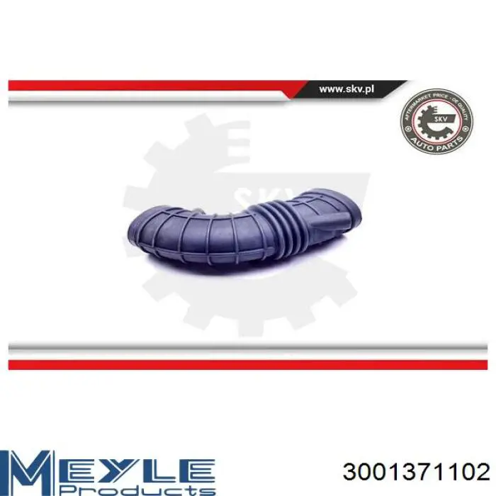 Conducto de aire, salida del filtro de aire AND 3Q129004 precio, desde 22,46 EUR