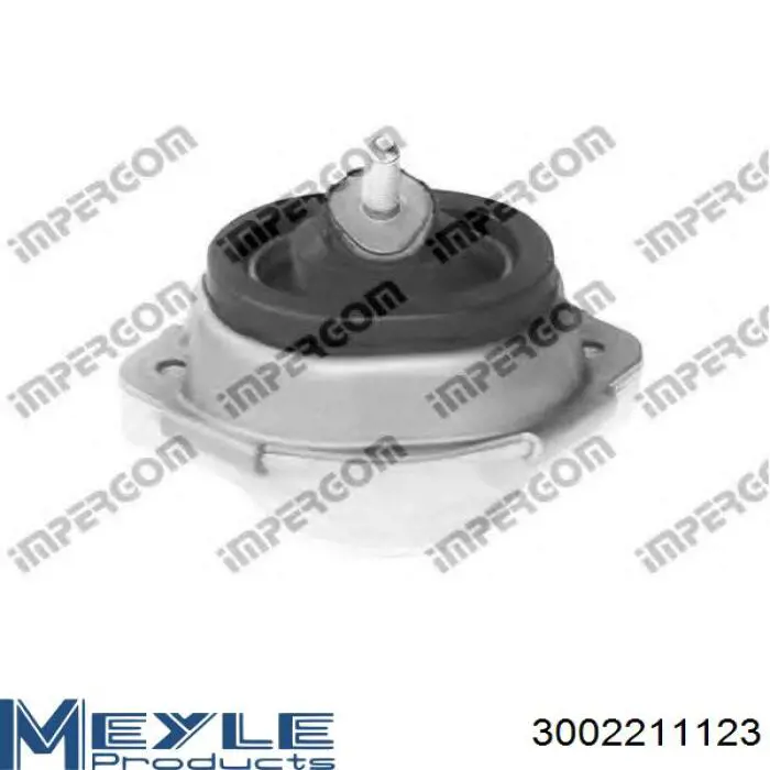 Soporte de motor, Izquierda / Derecha 40132 3RG