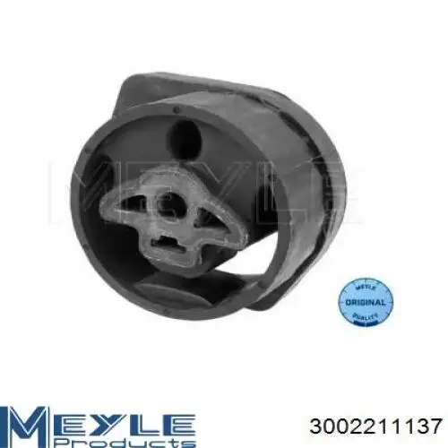 3002211137 Meyle montaje de transmision (montaje de caja de cambios)