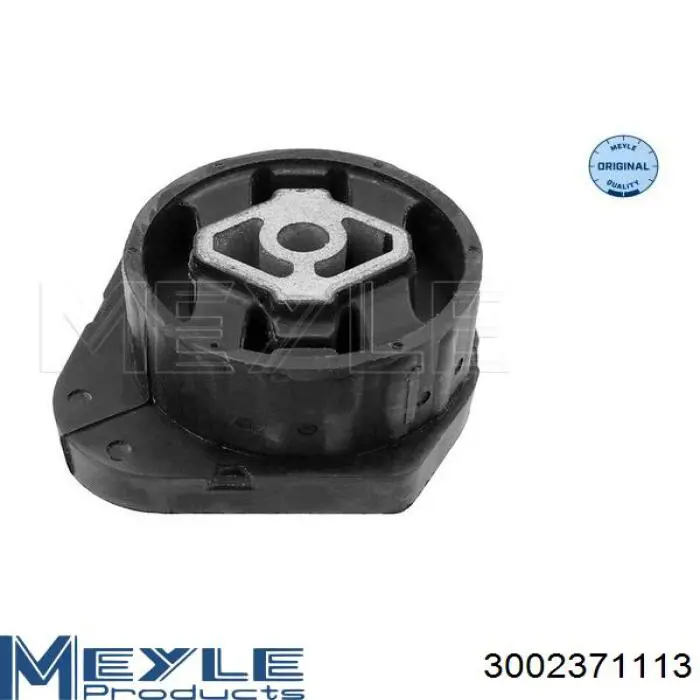 3002371113 Meyle