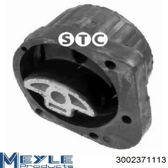22313421301 BMW Soporte de caja de velocidades