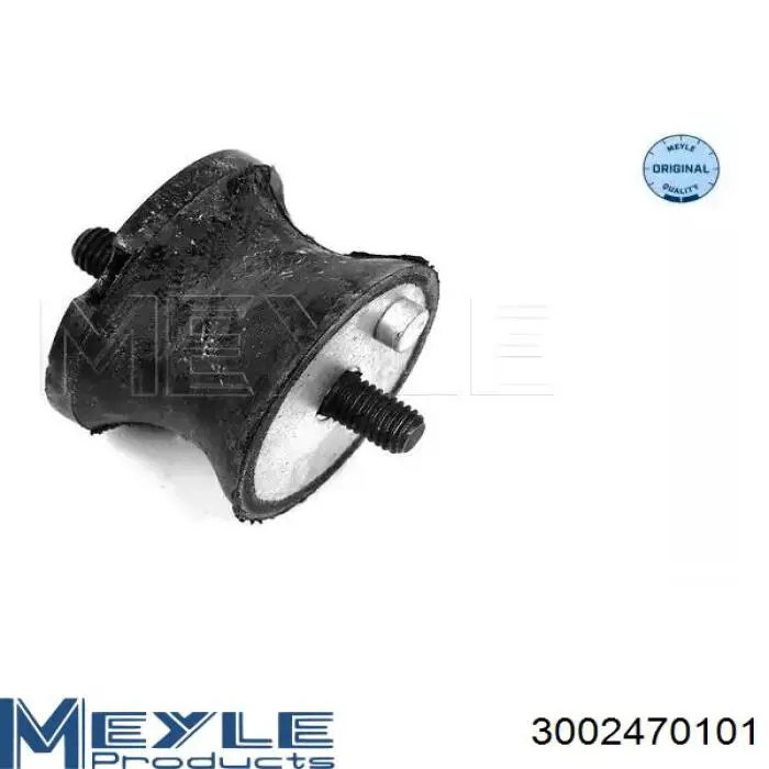 Soporte derecho de la transmisión BMW 24701138428