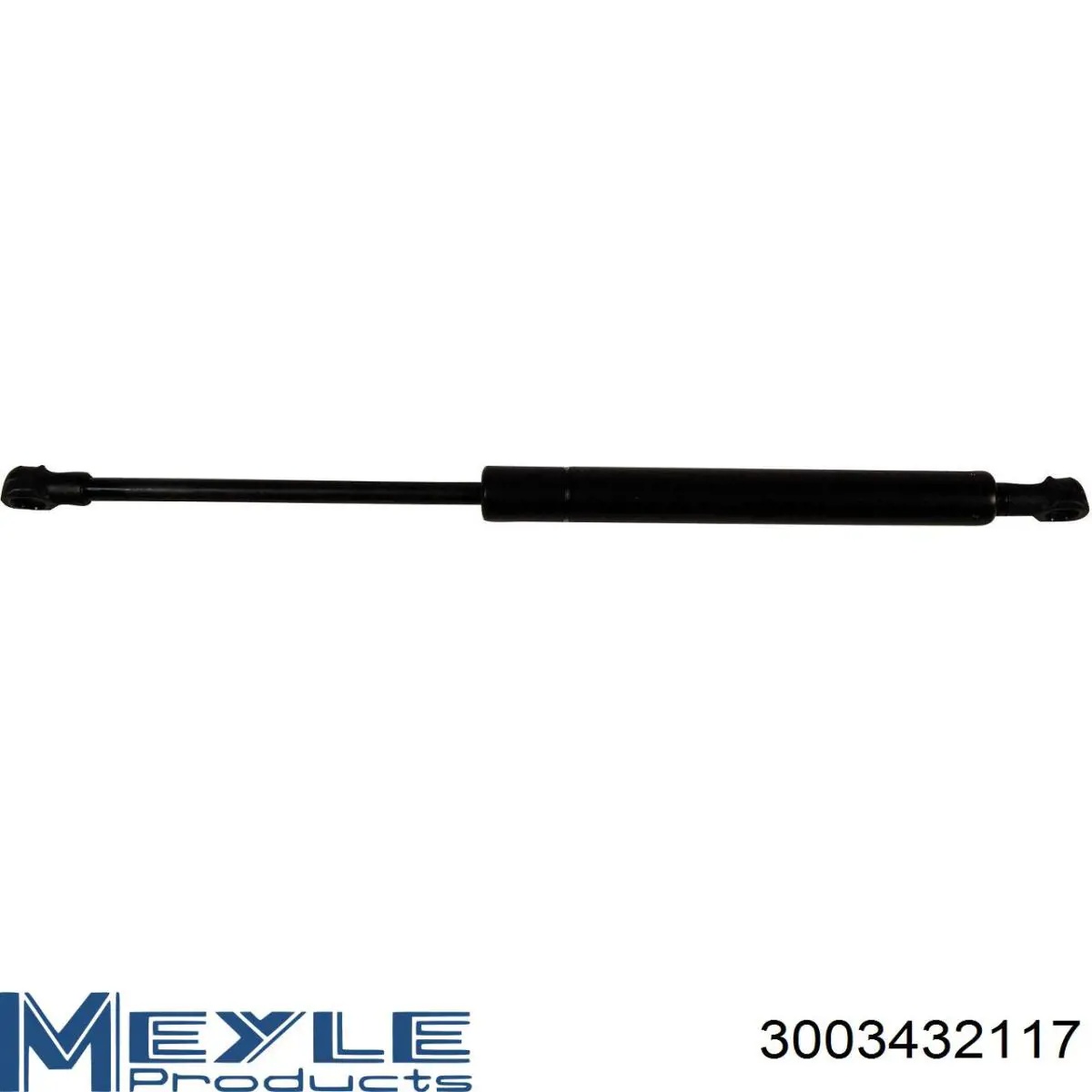 Latiguillos de freno delantero T496021 STC