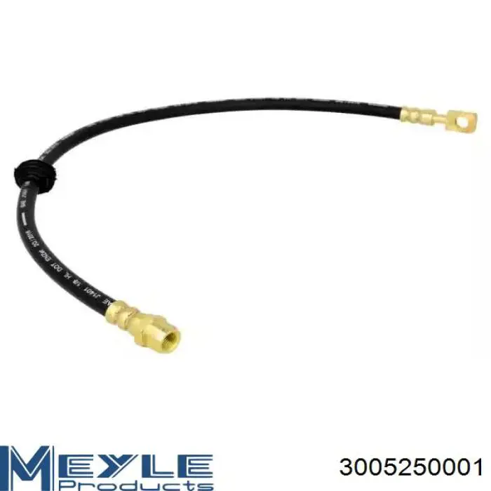 Latiguillo de freno delantero para MINI Cooper (R56)