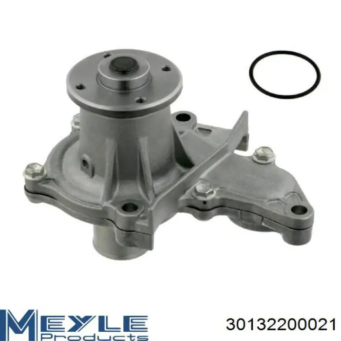 053679RG Fitshi Bombeadora de agua, completo con caja