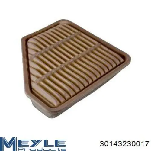 Filtro de combustible M812 AVS
