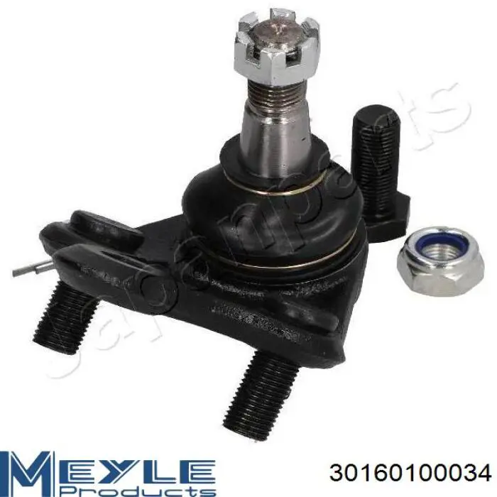 Rótula inferior de suspensión Kavo Parts SBJ9003 precio, desde 13,56 EUR