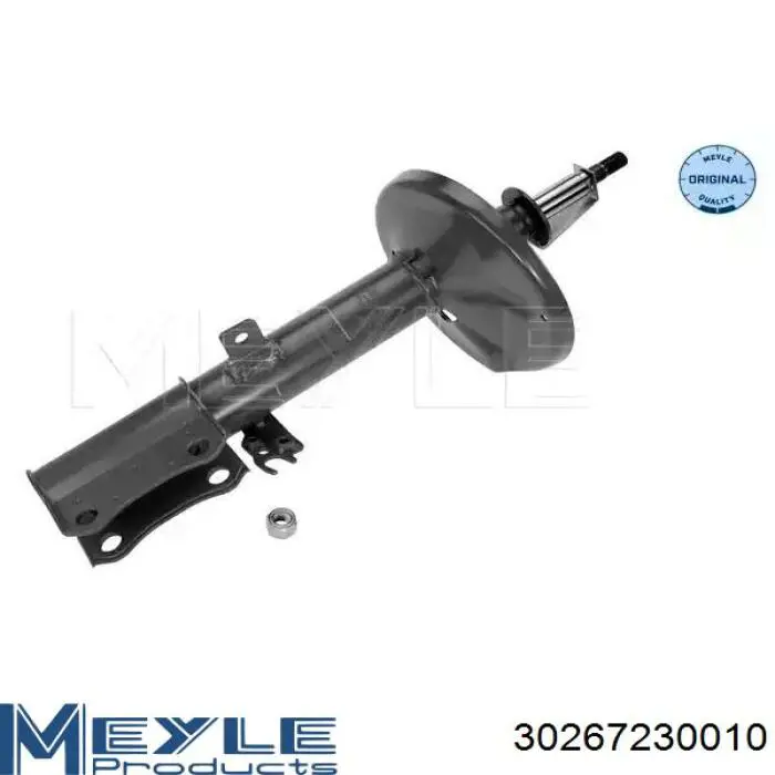 RS334340 Raiso Amortiguador trasero derecho