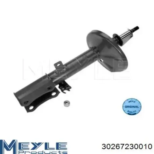 Amortiguador trasero derecho Raiso RS334340 precio, desde 64,20 EUR