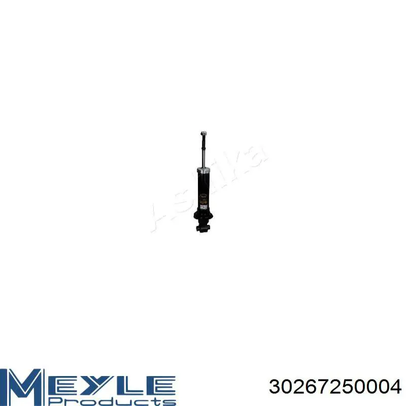Amortiguador trasero 4853009A01 Toyota