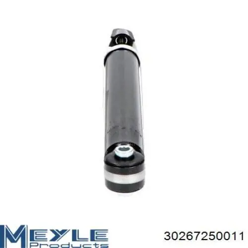 Amortiguador trasero derecho Raiso RS318508 precio, desde 30,04 EUR