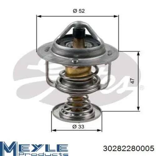 TE0155 Magneti Marelli termostato