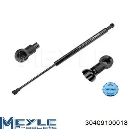 GS0487 Magneti Marelli Amortiguador de porton