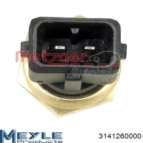Sensor de temperatura del motor BMW 12621747281