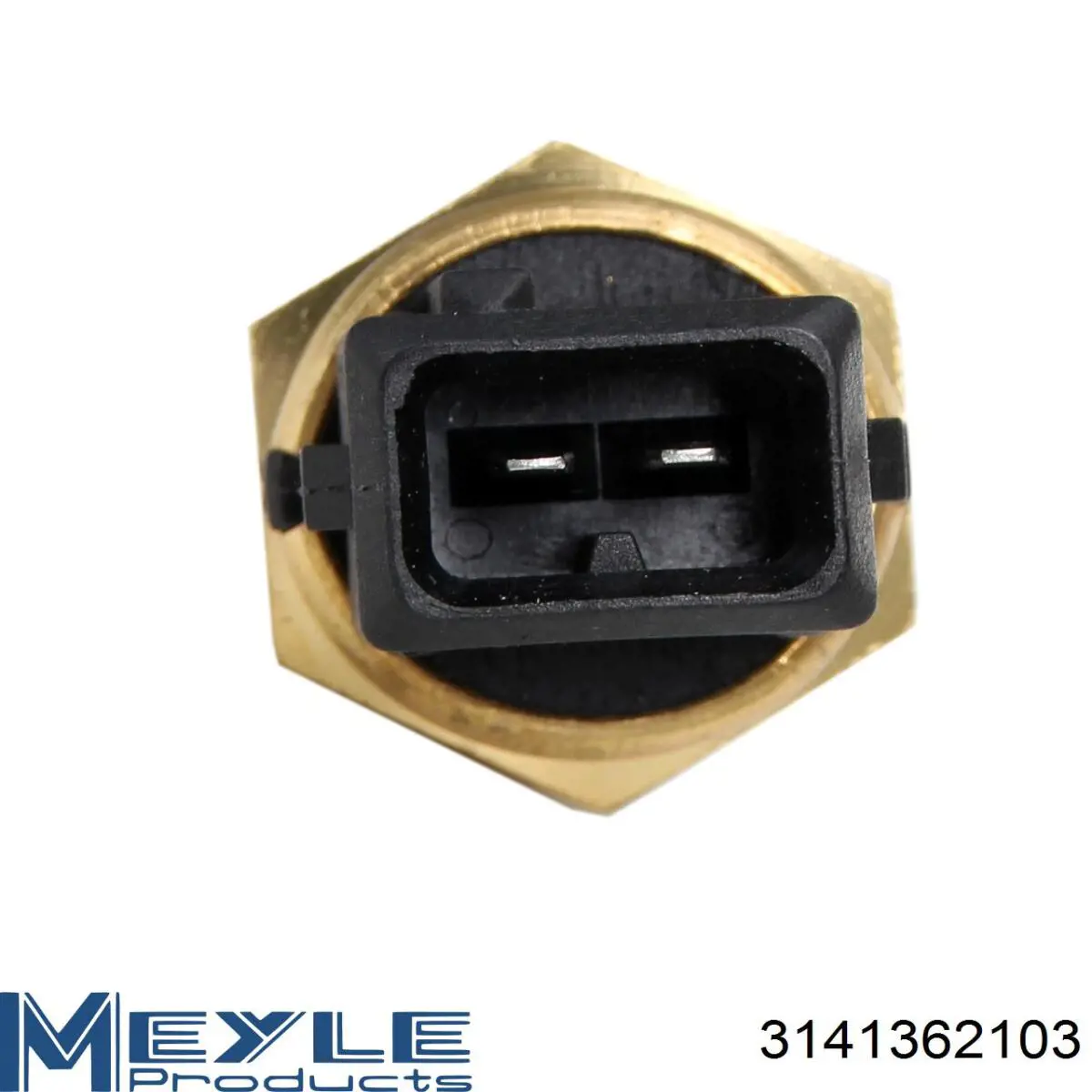 Sensor de temperatura BACB12750002 Bapmic