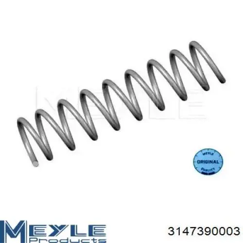 Muelle de suspensión trasero Raiso SR050TP precio, desde 21,65 EUR