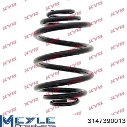 Muelle 33531095736 BMW