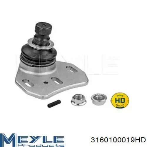 Rótula de suspensión superior BMW X5 SUV (E70) (2007 - 2013) precio, desde 49,79 EUR