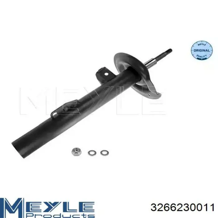 Amortiguador delantero derecho RS317564 Raiso