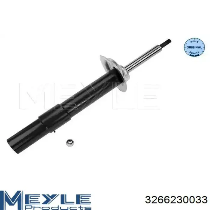 Amortiguador delantero derecho Raiso RS310274 precio, desde 87,91 EUR