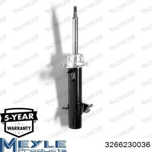 Amortiguador delantero izquierdo 31316782211 BMW