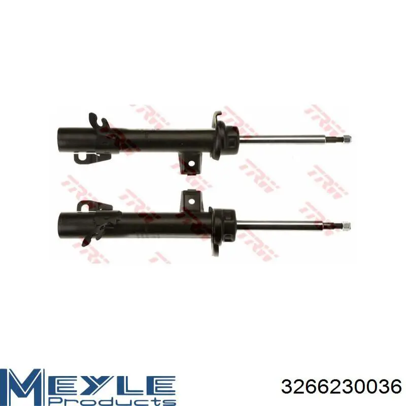 31316782211 BMW Amortiguador frontal izquierdo