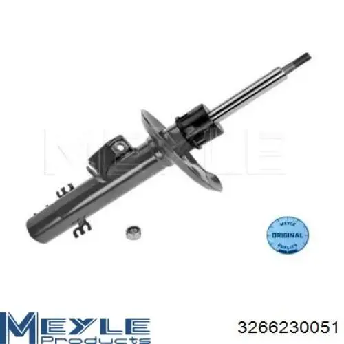 Amortiguador delantero derecho Raiso RS317571 precio, desde 69,62 EUR