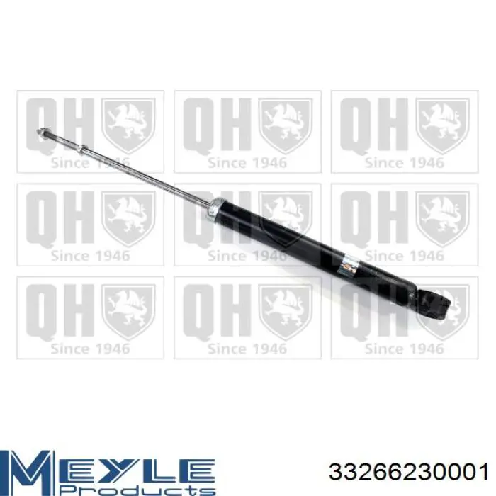 Amortiguador delantero izquierdo MSS017423 Mando