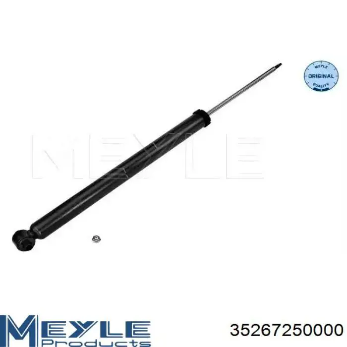 Comprar RS313419 Raiso Amortiguador trasero