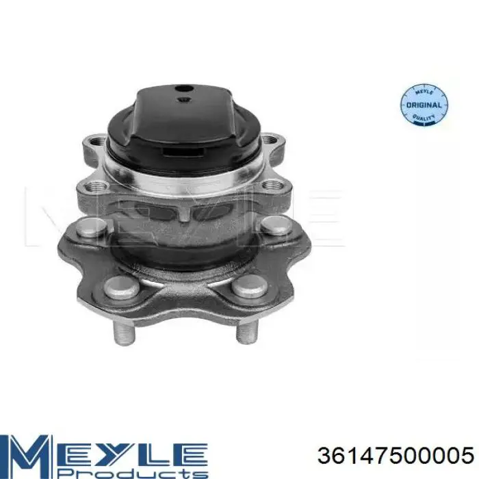 Cubo de rueda trasero 402022933R Renault (RVI)