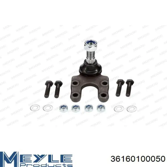 Rótula inferior de suspensión Meyle 36160100050 precio, desde 36,59 EUR