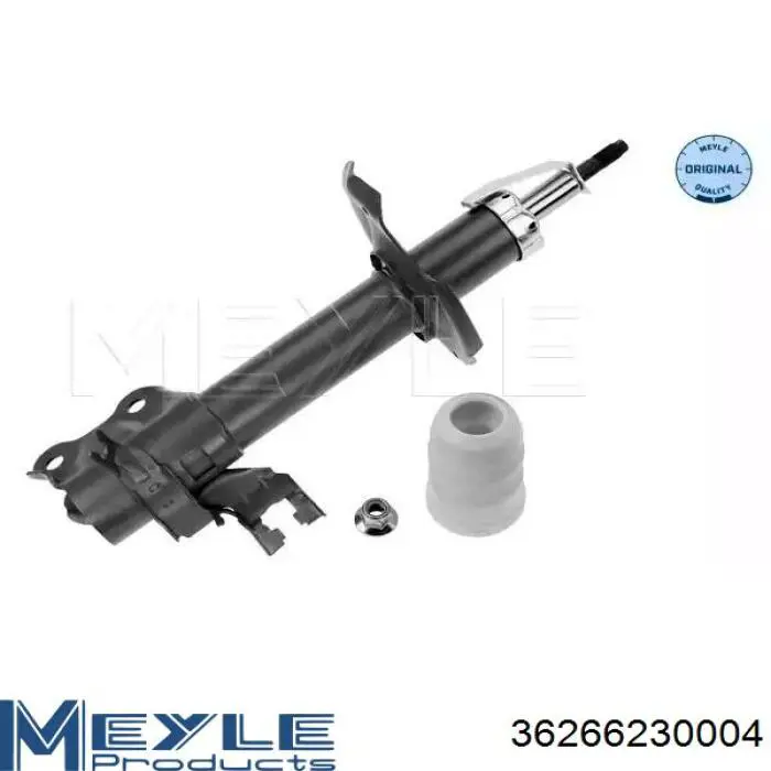 Comprar RS317157 Raiso Amortiguador delantero izquierdo