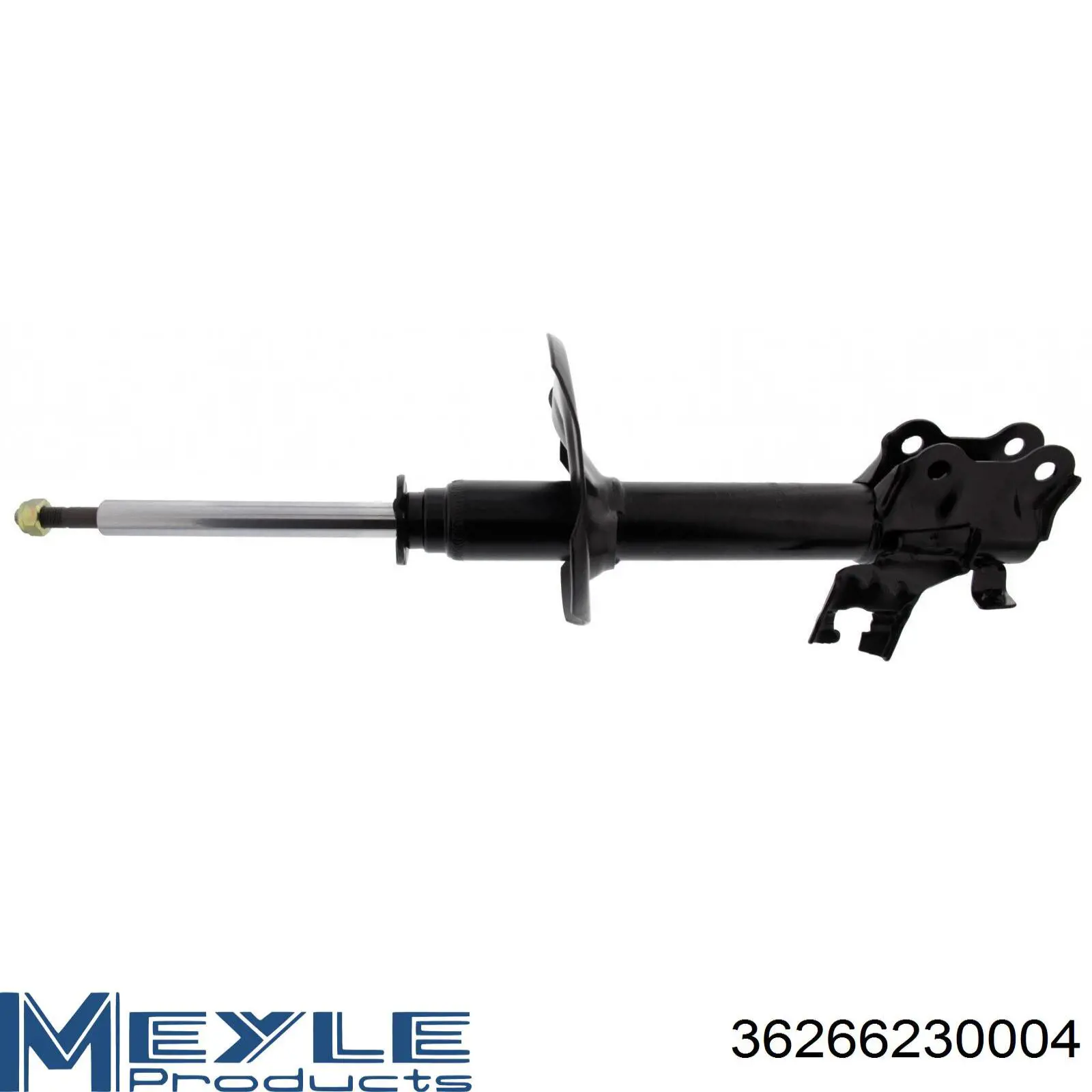 Amortiguador delantero izquierdo RS317157 Raiso
