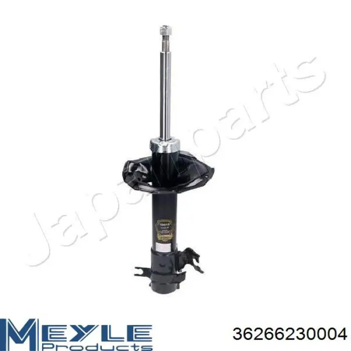RS317157 Raiso Amortiguador frontal izquierdo