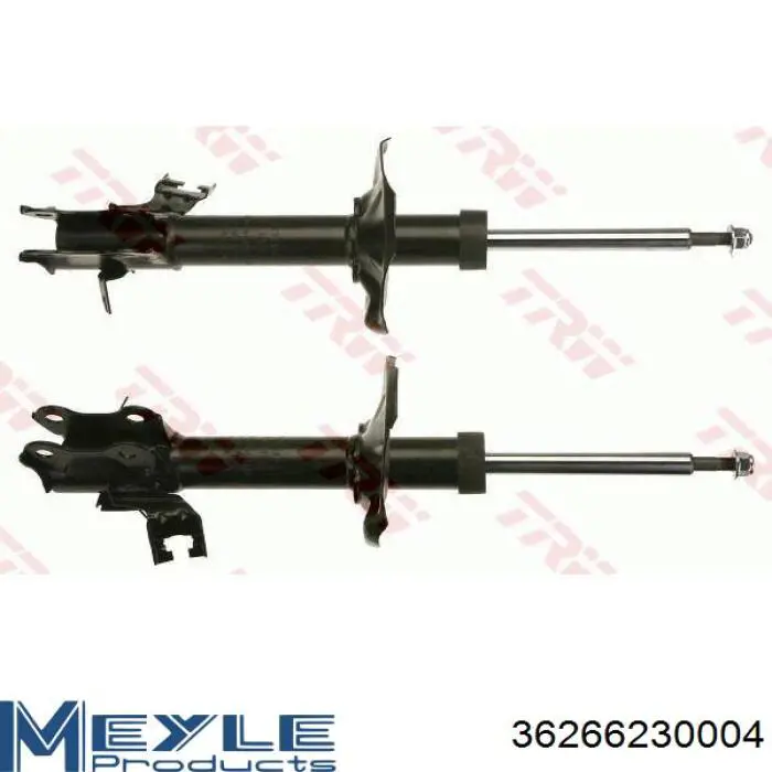 Amortiguador delantero izquierdo Raiso RS317157 precio, desde 60,70 EUR