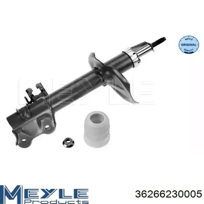 Amortiguador delantero derecho RS317158 Raiso