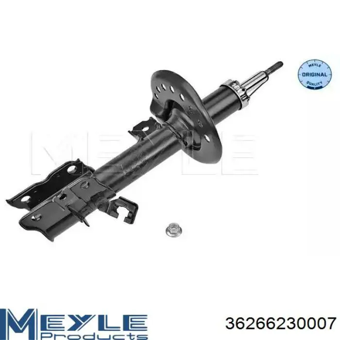 Comprar RS314037 Raiso Amortiguador delantero derecho