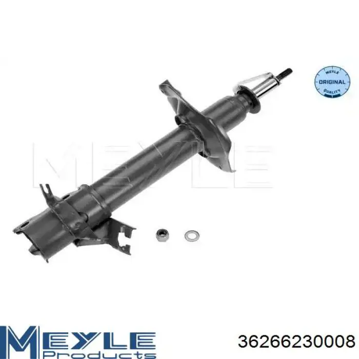 Amortiguador delantero izquierdo Raiso RS317112 precio, desde 52,36 EUR