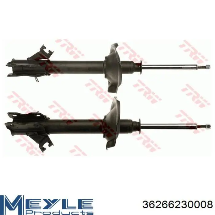 Comprar RS317112 Raiso Amortiguador delantero izquierdo