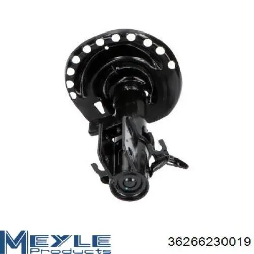 Amortiguador delantero derecho GSP 32306301 precio, desde 55,96 EUR